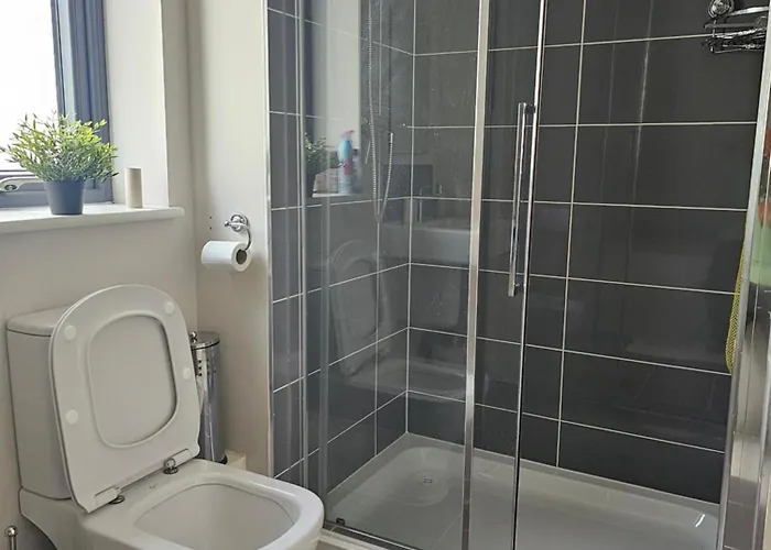 Homestay Comfortable Short In Dublin