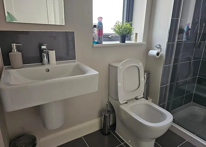 Comfortable Short In ホームステイ