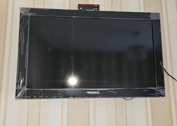 ホームステイ Comfortable Short In