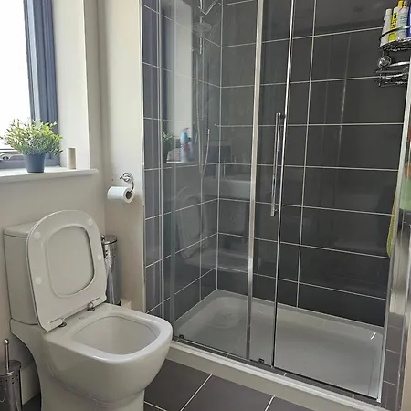 Homestay szállás Comfortable Short In Dublin